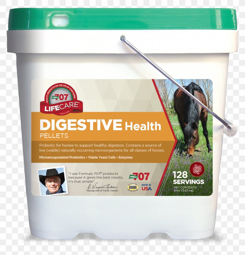 Horse Dietary Supplement Vitamin Mineral Nutrient, PNG, 1226x1275px, Horse, Dietary Supplement, Equine Nutrition, Health, Healthy Digestion Download Free