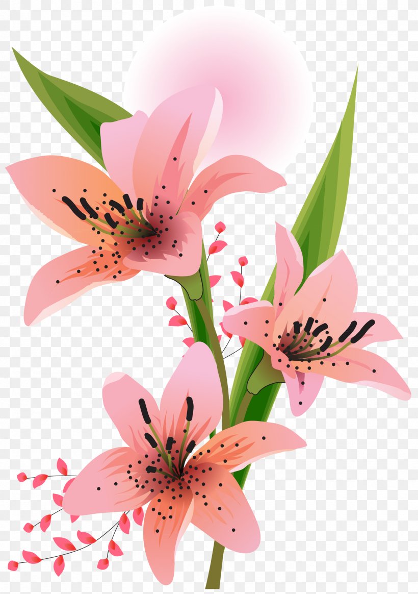 Lilium Clip Art, PNG, 1761x2500px, Lilium, Alstroemeriaceae, Cut Flowers, Flora, Floral Design Download Free