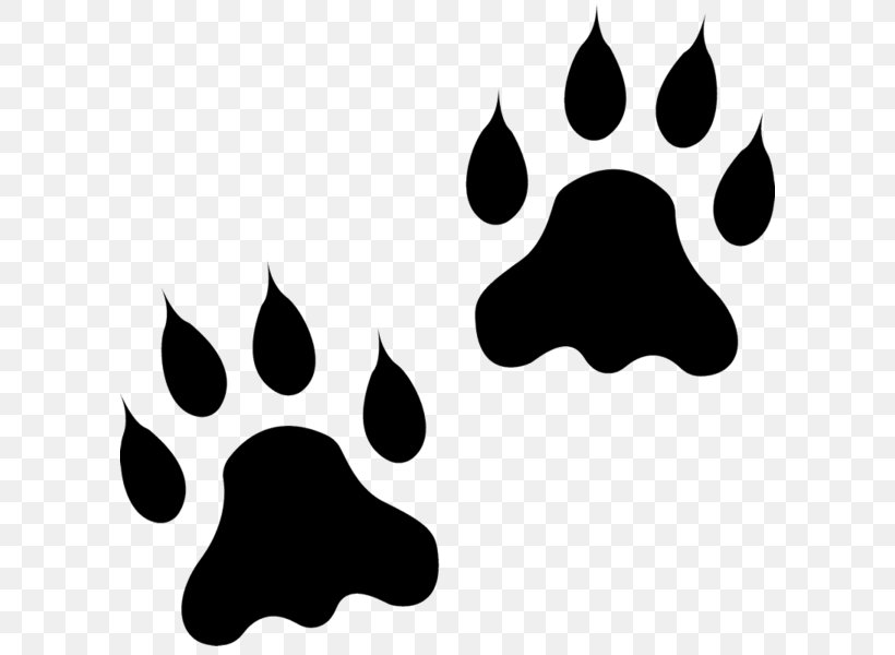 Paw Lion Animal Track Dog Clip Art, PNG, 600x600px, Paw, Animal, Animal Track, Black, Black And White Download Free