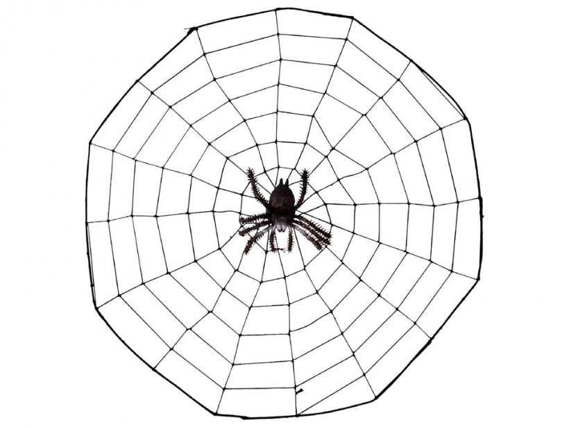 Spider Web Clip Art, PNG, 960x720px, Spider, Area, Black And White, Cartoon, Child Download Free