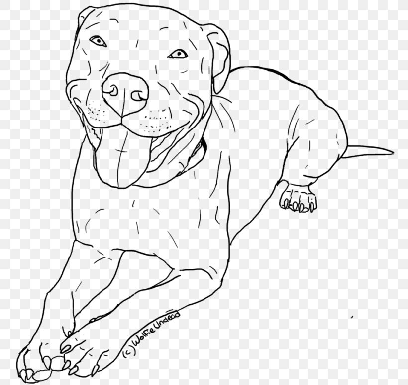 American Pit Bull Terrier Coloring Book Drawing, PNG, 768x773px, Pit Bull, Adult, American Pit Bull Terrier, Animal, Arm Download Free