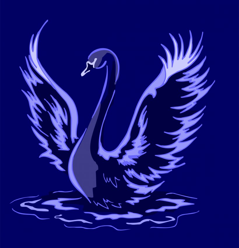 Swan - Bird Cygnini Clip Art PNG