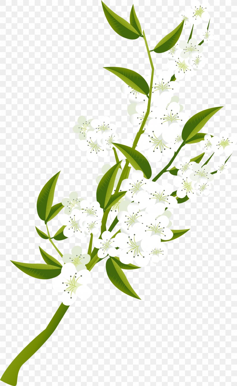 Branch Twig, PNG, 2728x4440px, Branch, Designer, Flora, Flower, Flowering Plant Download Free