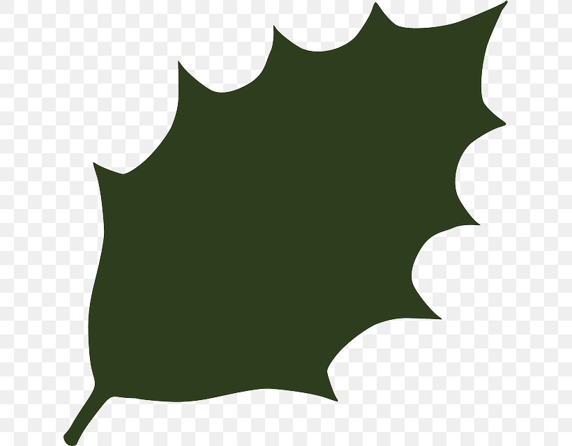 Leaf Green Clip Art, PNG, 637x640px, Leaf, Black, Flora, Grass, Green Download Free