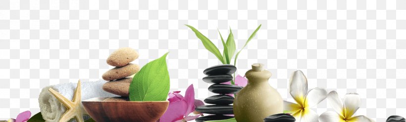 Stone Massage Day Spa Beauty Parlour, PNG, 1220x370px, Massage, Aromatherapy, Banana, Beauty Parlour, Cosmetology Download Free