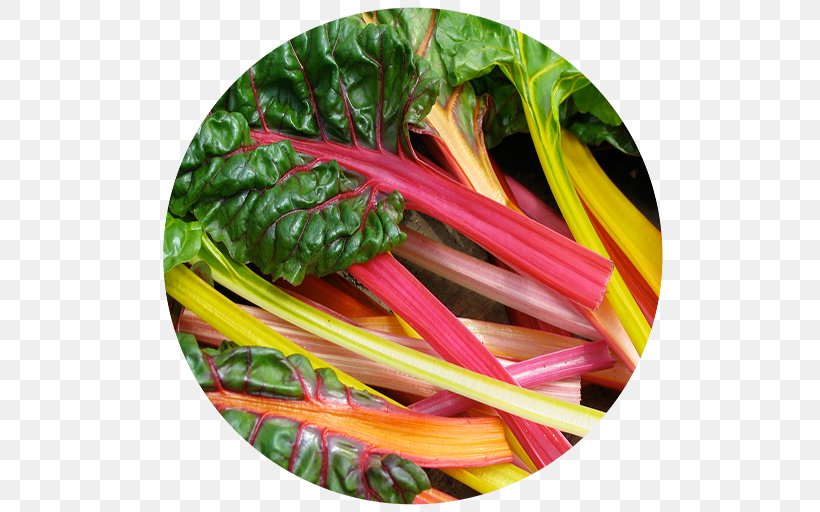 Chard Common Beet Heirloom Plant Vegetable Garden Rhubarb, PNG, 512x512px, Chard, Beet, Beta, Common Beet, Food Download Free