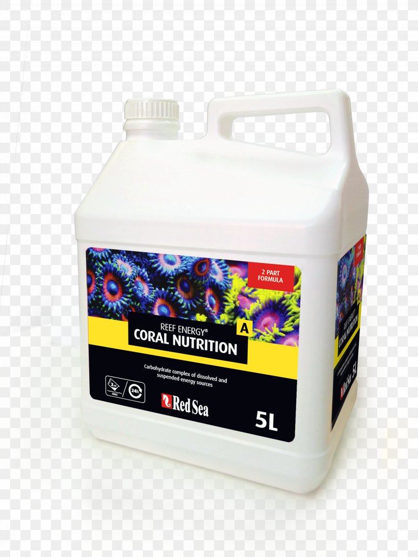 Coral Dietary Supplement Nitrate Nutrient Sea, PNG, 3120x4160px, Coral, Aquarium, Automotive Fluid, Dietary Supplement, Food Download Free