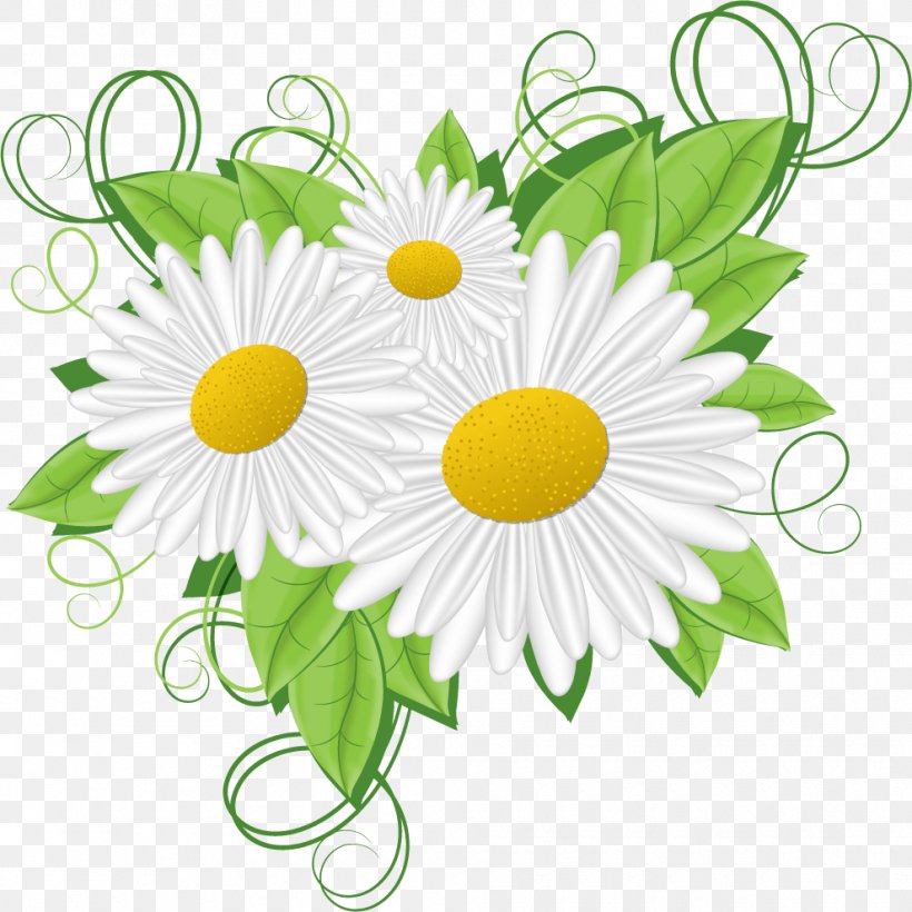 Flower Picture Frames Clip Art, PNG, 990x990px, Flower, Art, Artwork, Chamomile, Chrysanths Download Free