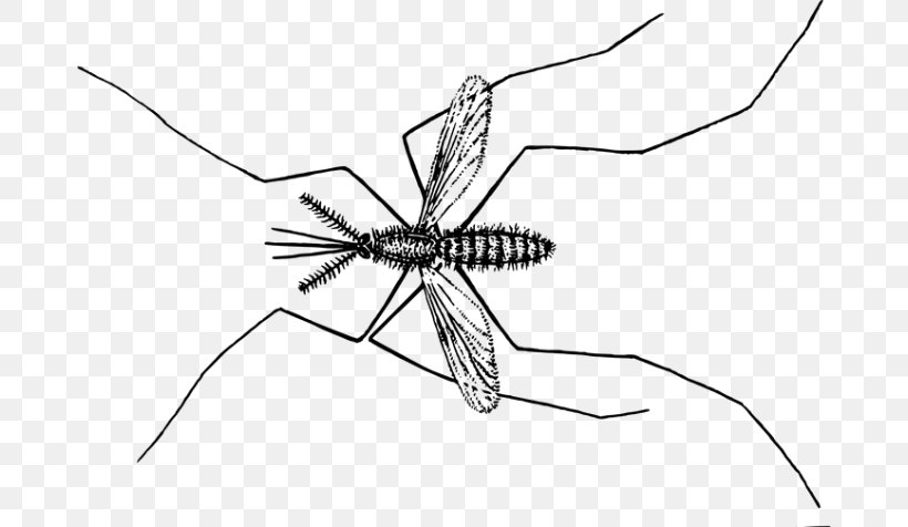 Mosquito Insect Fly Pollinator Cannabis, PNG, 680x476px, Mosquito, Ancient History, Arthropod, Black And White, Cannabis Download Free