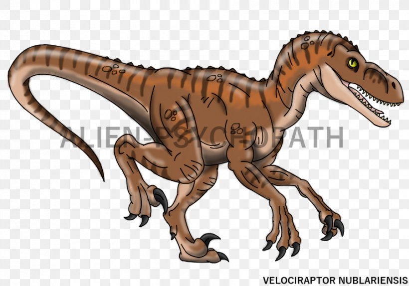 Velociraptor Tyrannosaurus Simon Masrani Jurassic Park Triceratops, PNG, 900x631px, Velociraptor, Animal Figure, Chris Pratt, Dinosaur, Drawing Download Free