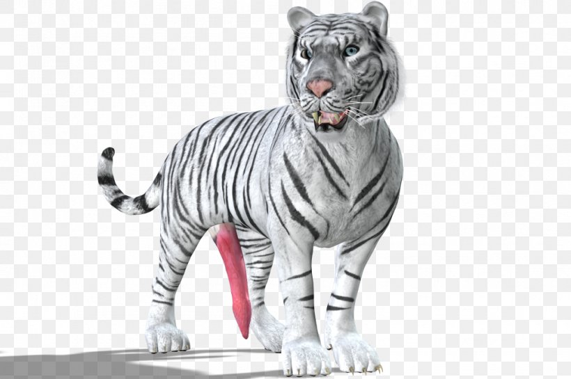White Tiger Big Cat Whiskers, PNG, 1005x669px, Tiger, Animal, Animal Figure, Big Cat, Big Cats Download Free