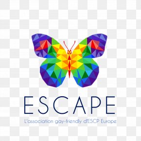 Escape - French Wikipedia Encyclopedia WikiStage PNG
