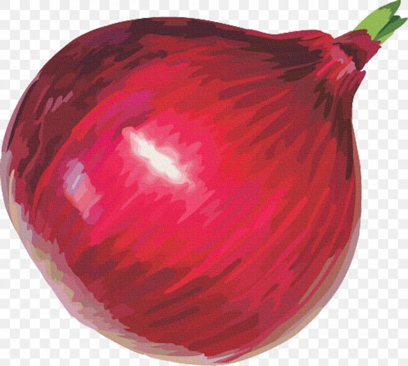Red Onion Free Content Clip Art, PNG, 1890x1696px, Onion, Beet, Beetroot, Copyright, Food Download Free