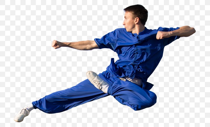 Wushu Taolu Sanshou Tai Chi Martial Arts, PNG, 735x496px, Wushu, Blue, Changquan, Chen, Chinese Martial Arts Download Free