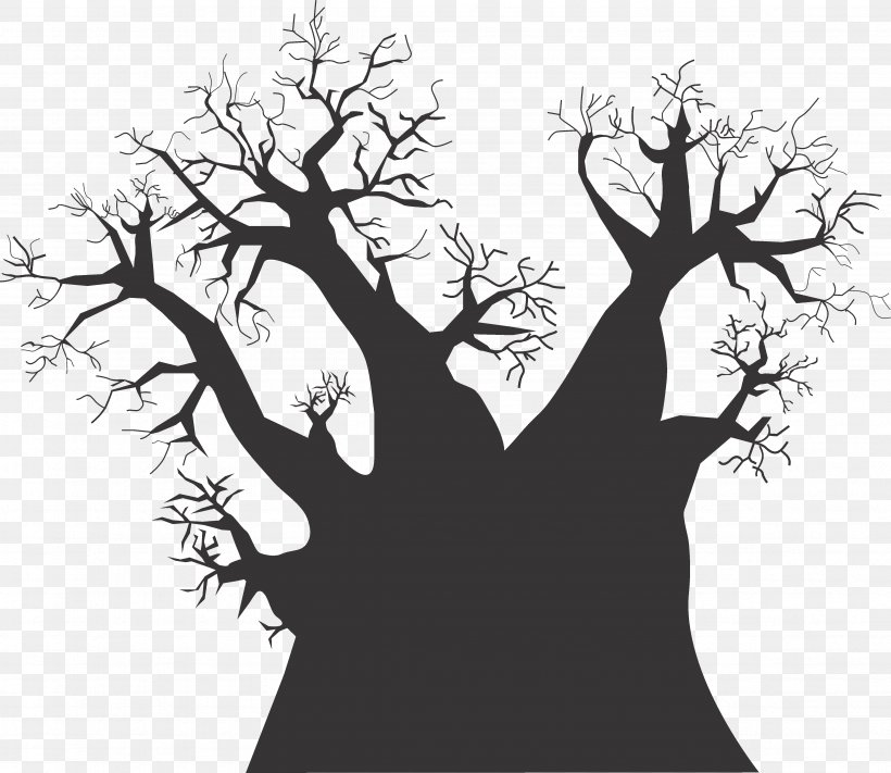 Baobab Tree Madagascar Color, PNG, 4726x4100px, Baobab, Art, Black And White, Branch, Color Download Free