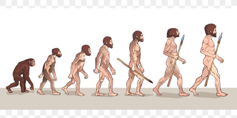 Neanderthal Human Evolution The Evolution Of Man, PNG, 1600x800px, Watercolor, Cartoon, Flower, Frame, Heart Download Free
