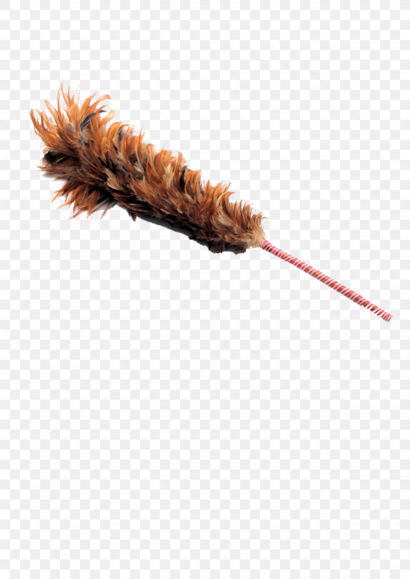 Feather Duster Cleaning, PNG, 2480x3508px, Feather Duster, Animal Product, Cleaning, Cleanliness, Dust Download Free