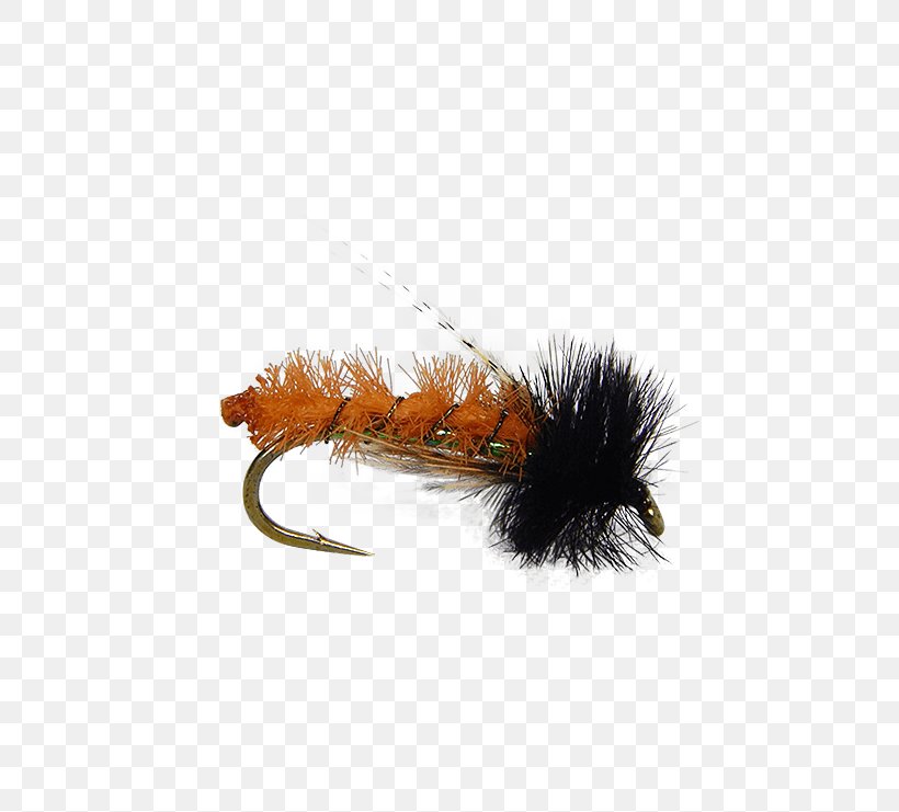 Fly Fishing Caddisfly Fly Tying Nymph Insect, PNG, 555x741px, Fly Fishing, Brown Trout, Caddisfly, Fishing, Fly Download Free