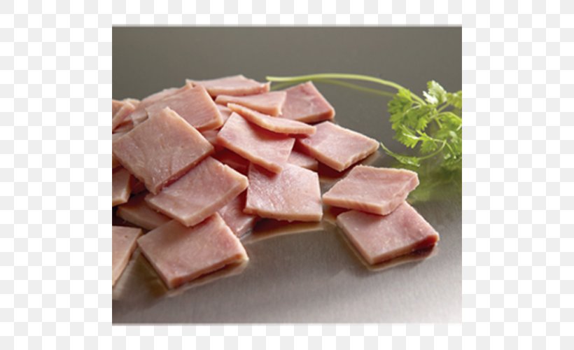 Turkey Ham Mortadella Pizza Turkey Meat, PNG, 500x500px, 999 Pizza Toppings, Ham, Animal Fat, Animal Source Foods, Cuisine Download Free