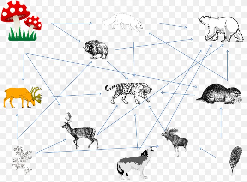 Black Panther Gray Wolf Siberian Tiger Food Web Food Chain, PNG, 1477x1087px, Black Panther, Amur Leopard, Area, Art, Bengal Tiger Download Free