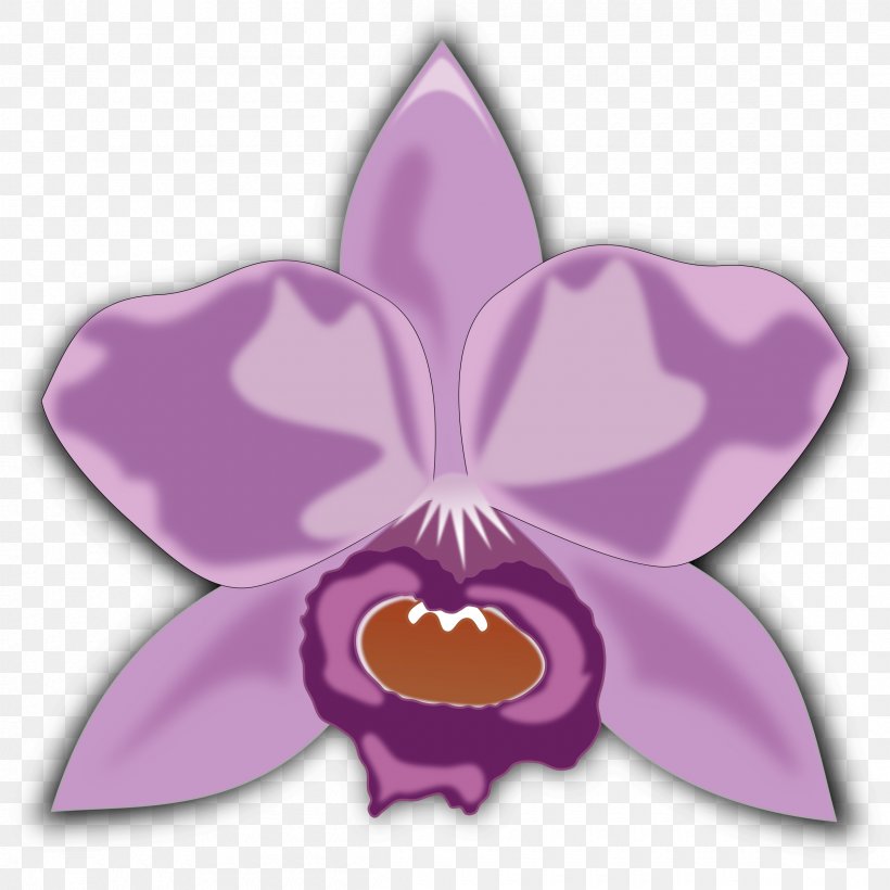 Flower Orchids Clip Art, PNG, 2400x2400px, Flower, Butterfly, Cattleya Orchids, Flora, Flowering Plant Download Free