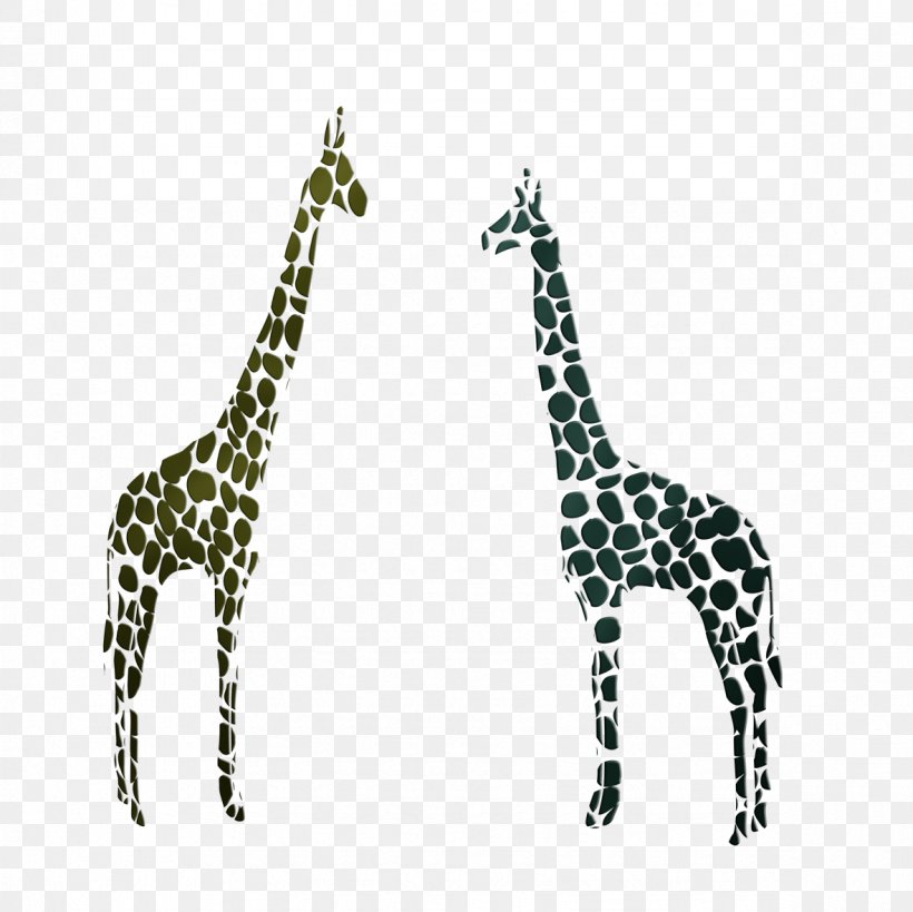Northern Giraffe, PNG, 1181x1181px, Northern Giraffe, Animation, Black And White, Designer, Giraffe Download Free