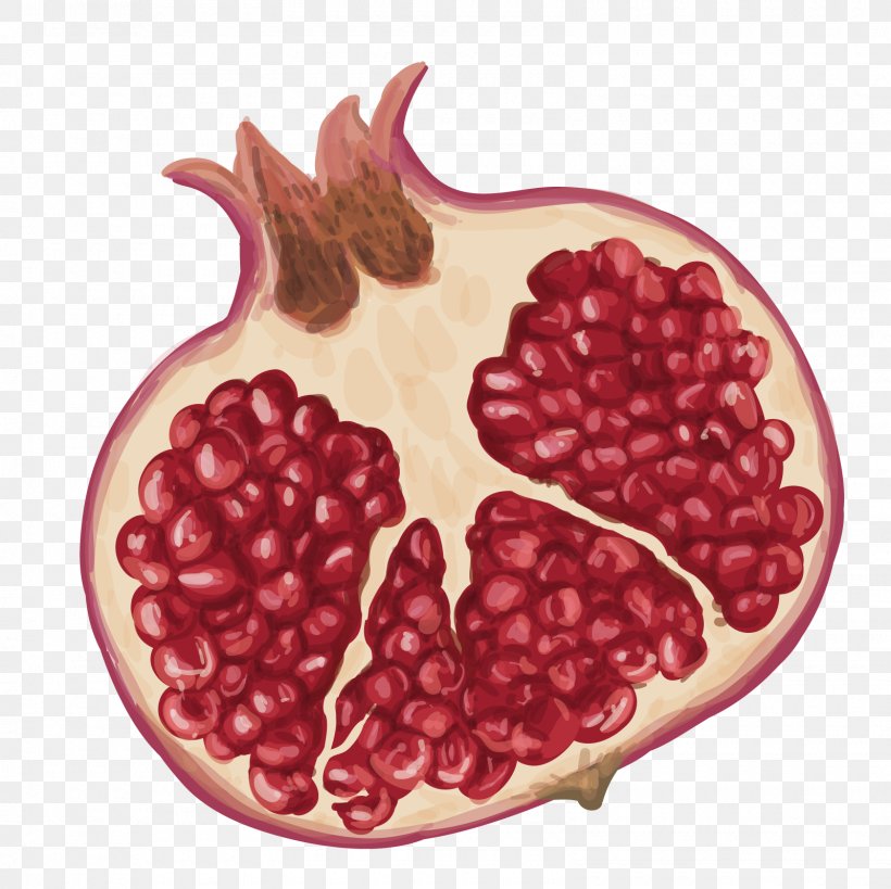 Pomegranate Drawing Fruit Illustration, PNG, 1600x1600px, Pomegranate, Berry, Cranberry, Drawing, Food Download Free