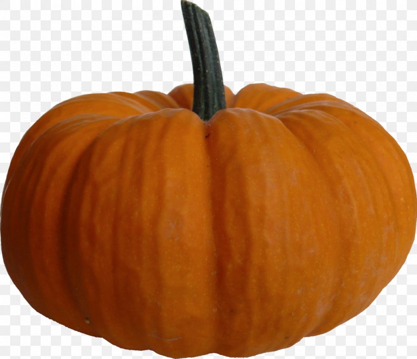 Pumpkin Pie Big Pumpkin Clip Art, PNG, 1024x882px, Pumpkin Pie, Big Pumpkin, Calabaza, Cucumber Gourd And Melon Family, Cucurbita Download Free