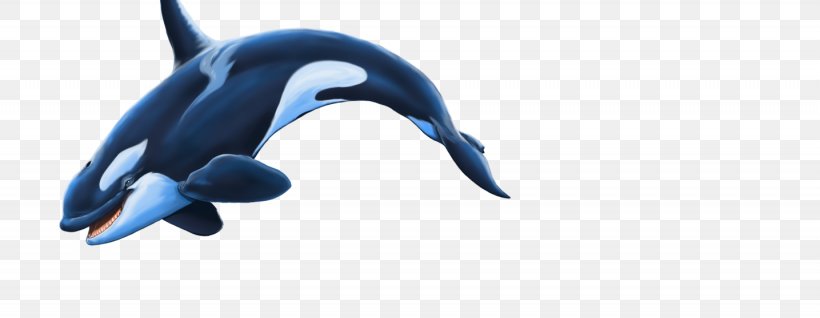 Dolphin Killer Whale, PNG, 1435x557px, Dolphin, Animal, Animal Figure, Beak, Deviantart Download Free