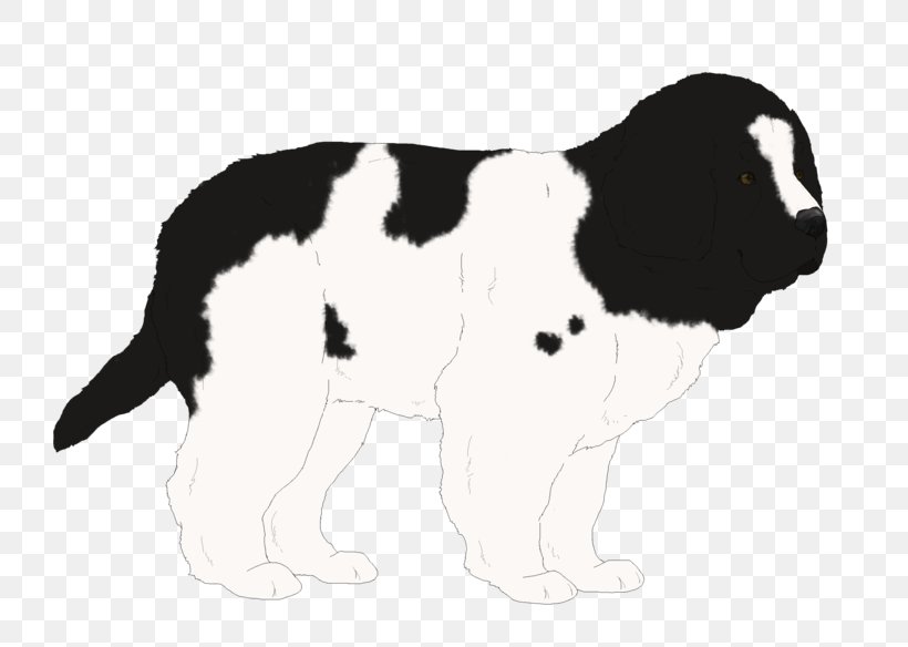 Verbazingwekkend English Springer Spaniel Drentse Patrijshond Puppy Dog Breed Welsh PK-98