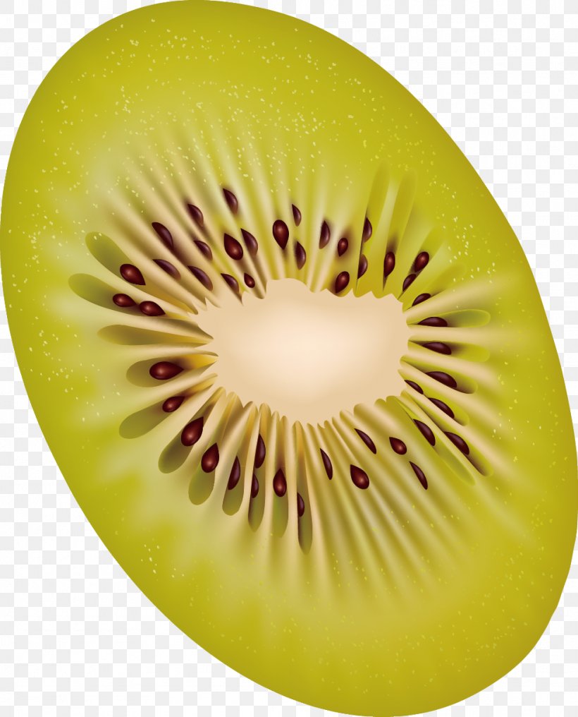 Kiwifruit Clip Art, PNG, 986x1222px, Kiwifruit, Close Up, Food, Free Content, Fruit Download Free