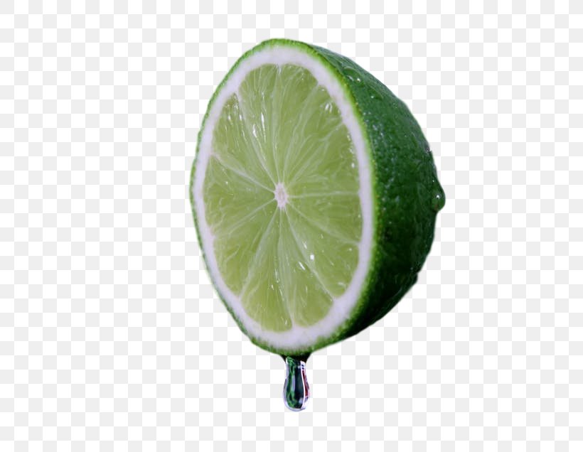 Lemon-lime Drink Key Lime Persian Lime, PNG, 500x636px, Lime, Citric Acid, Citrus, Food, Fruit Download Free