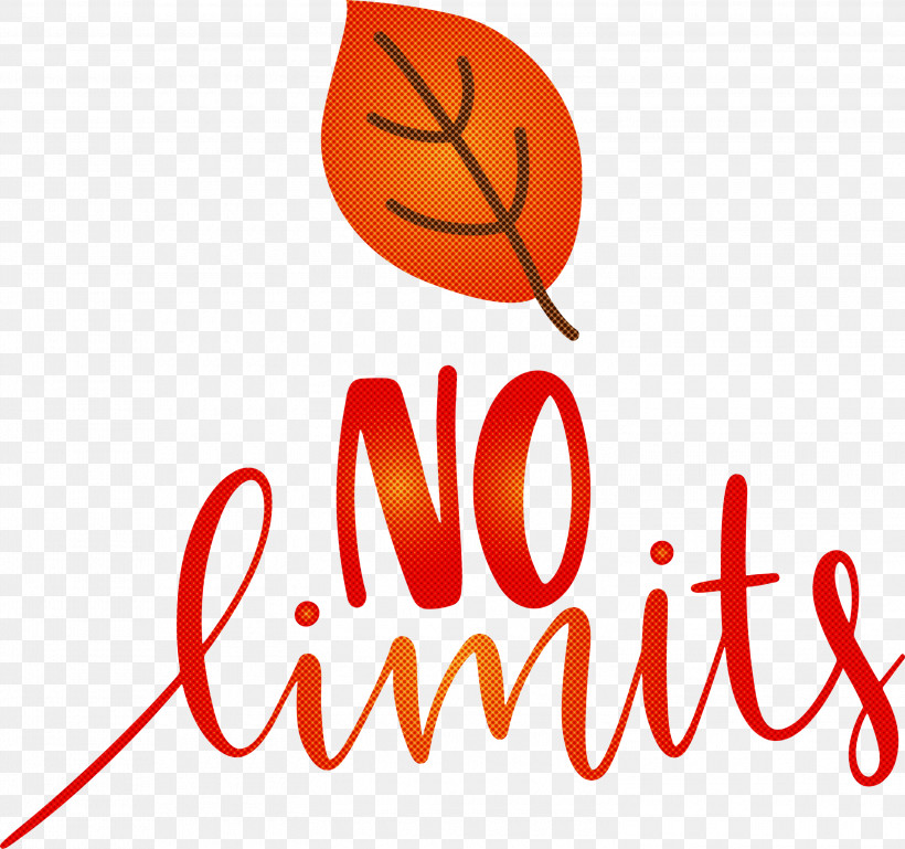 No Limits Dream Future, PNG, 3000x2817px, No Limits, Dream, Flower, Future, Geometry Download Free