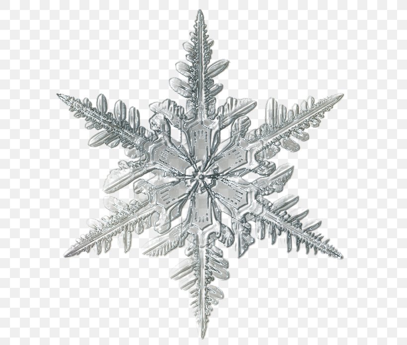 Snowflake Microscope Ice Crystal, PNG, 618x695px, Snowflake, Black And White, Christmas Ornament, Crystal, Fir Download Free
