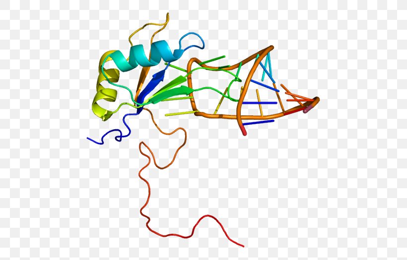 Structural Motif RNA-binding Protein Sequence Motif RNA Binding Motif Protein, Y-linked, Family 1, Member A1, PNG, 521x525px, Structural Motif, Area, Artwork, Binding Protein, Cterminus Download Free