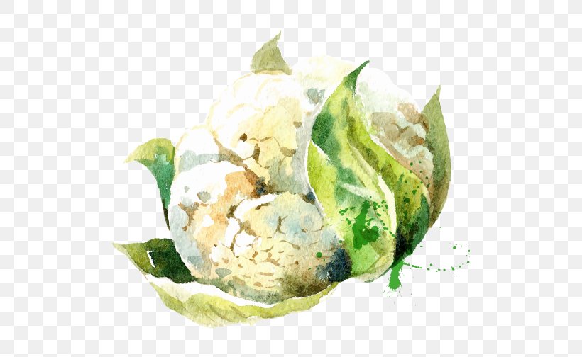 Vegetable Watercolor Painting Drawing Illustration, PNG, 504x504px, Vegetable, Carrot, Cauliflower, Dairy Product, Dish Download Free