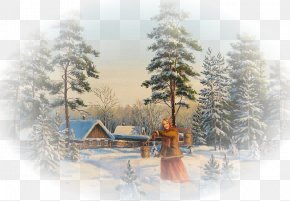 Winter - Winter Summer Autumn Clip Art PNG