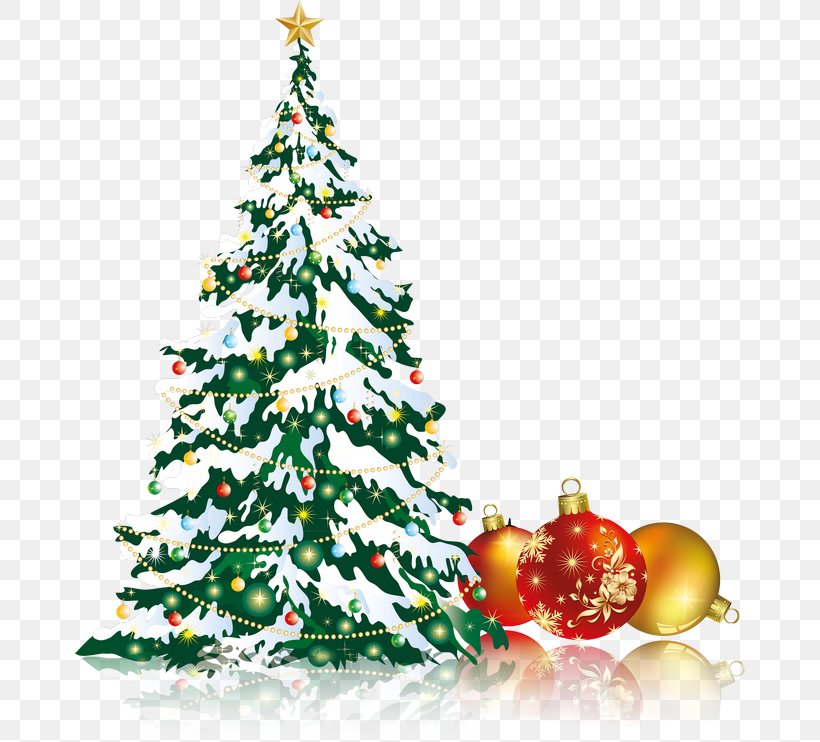 Christmas Tree Christmas Ornament Christmas Card, PNG, 670x742px, Christmas, Christmas Card, Christmas Decoration, Christmas Ornament, Christmas Tree Download Free