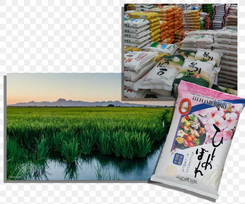 Japanese Cuisine Advertising Rice Pound, PNG, 1134x948px, Japanese Cuisine, Advertising, Grass, Grass Family, Pound Download Free