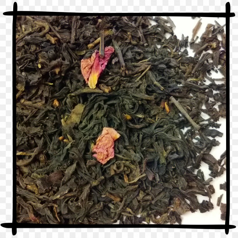 Nilgiri Tea Dianhong Tea Plant, PNG, 1000x1000px, Nilgiri Tea, Assam Tea, Ceylon Tea, Da Hong Pao, Dianhong Download Free