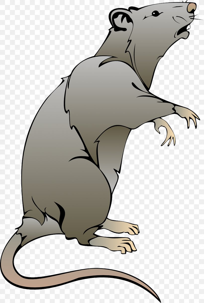 Rat Mouse Clip Art, PNG, 863x1280px, Rat, Animation, Bear, Beaver, Carnivoran Download Free