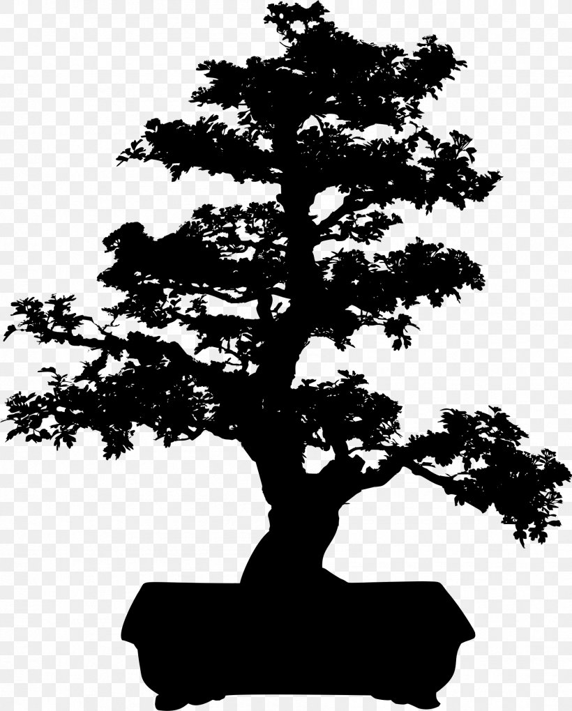Bonsai Tree Clip Art, PNG, 1788x2226px, Bonsai, Black And White, Branch, Houseplant, Leaf Download Free