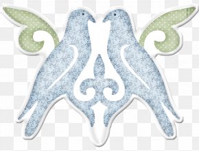 Mulberry - Flightless Bird Butterfly Wing Pollinator PNG