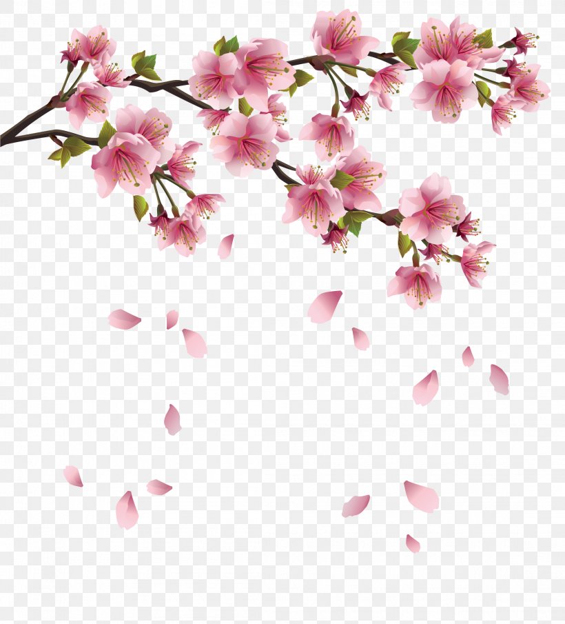 Flower Branch Cherry Blossom Clip Art, PNG, 2212x2442px, Flower, Blossom, Branch, Cherry Blossom, Flora Download Free