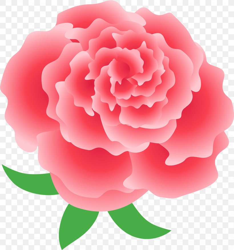 Garden Roses Mother's Day Flower Centifolia Roses, PNG, 1121x1200px, Garden Roses, Camellia, Carnation, Centifolia Roses, Flower Download Free