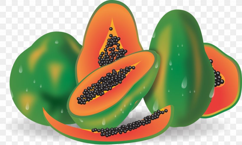 Papaya Euclidean Vector Fruit, PNG, 2688x1613px, Papaya, Artworks, Auglis, Cucumber Gourd And Melon Family, Diet Food Download Free