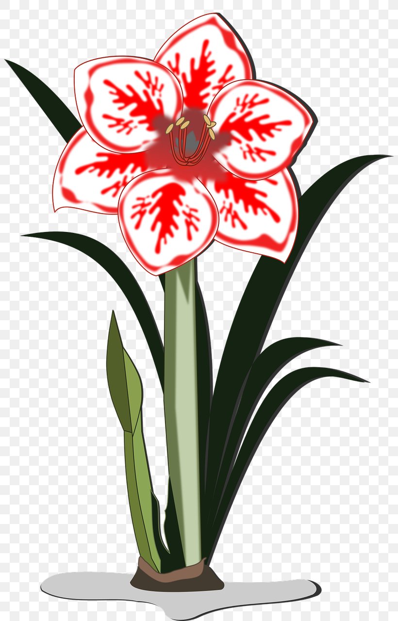 Floral Design Amaryllis Jersey Lily Cut Flowers Flowerpot, PNG, 804x1280px, Floral Design, Amaryllis, Amaryllis Belladonna, Amaryllis Family, Artwork Download Free