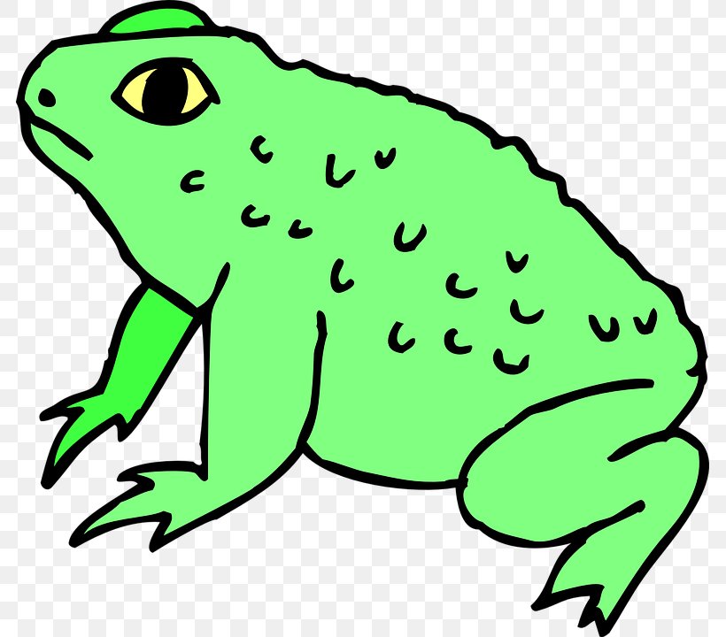 Frog Toad Clip Art, PNG, 783x720px, Frog, Amphibian, Animal Figure, Artwork, Blog Download Free