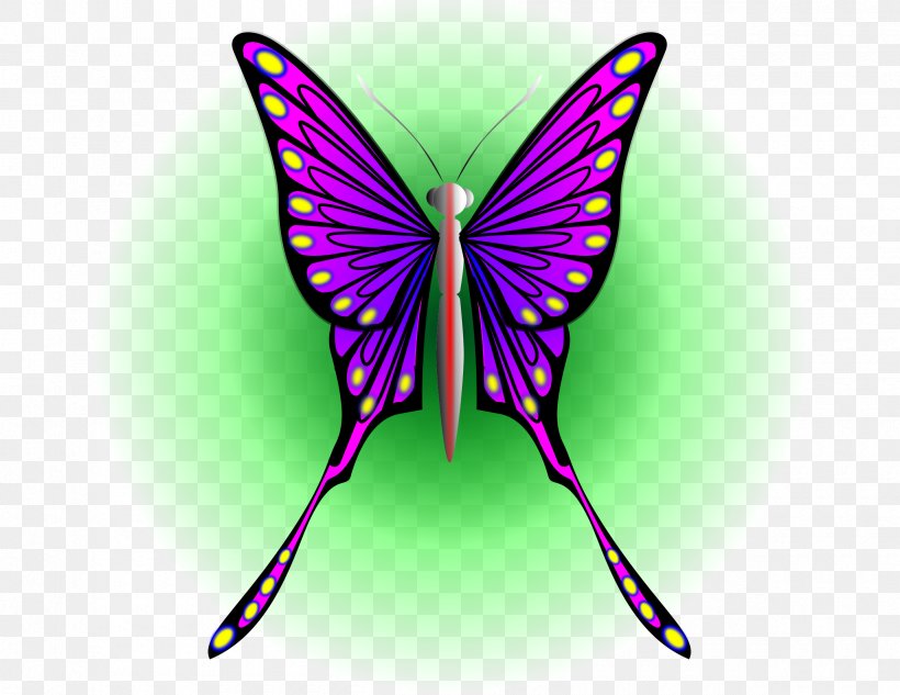Butterfly Insect Moth Clip Art, PNG, 2400x1855px, Butterfly, Arthropod, Brush Footed Butterfly, Butterflies And Moths, Insect Download Free