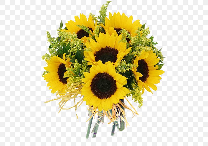 Common Sunflower Floristry Cut Flowers Daisy Family, PNG, 500x576px, Common Sunflower, Common Daisy, Cut Flowers, Daisy Family, Floral Design Download Free